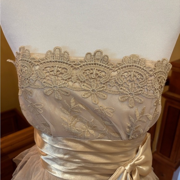 Champagne Gold Dress w/Bow and Tulle Fairiycore Ethereal Romantic Sweet - Picture 8 of 16